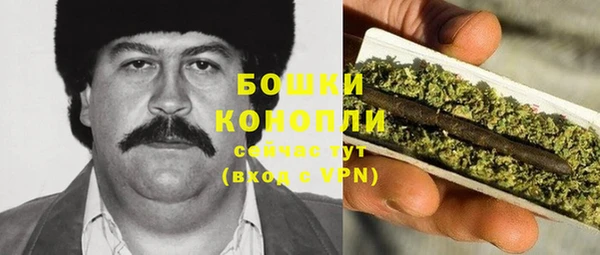 PSILOCYBIN Волоколамск